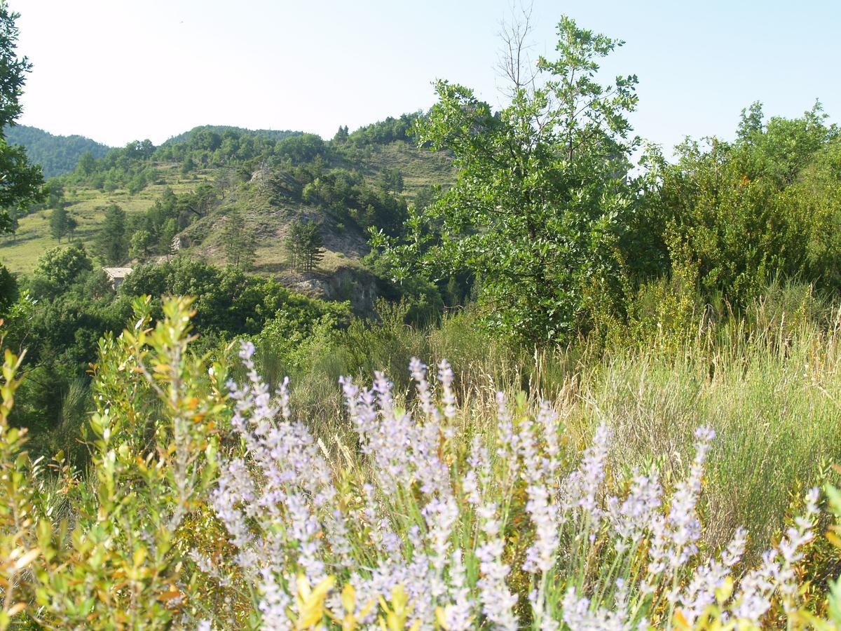 Camping Panoramique Du Verdon Castellane Exteriér fotografie